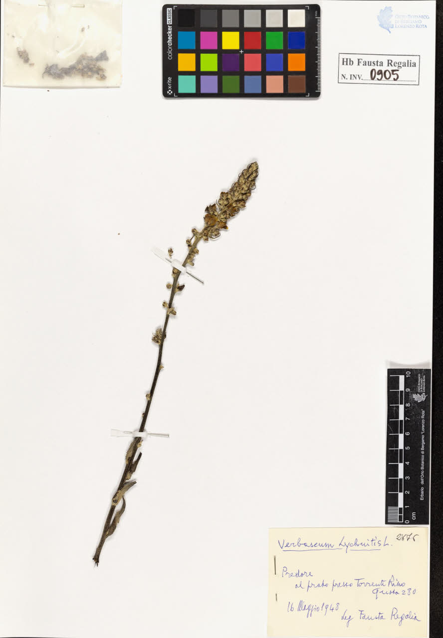 SW_BNB_s3020-00910_IMG-0000000001