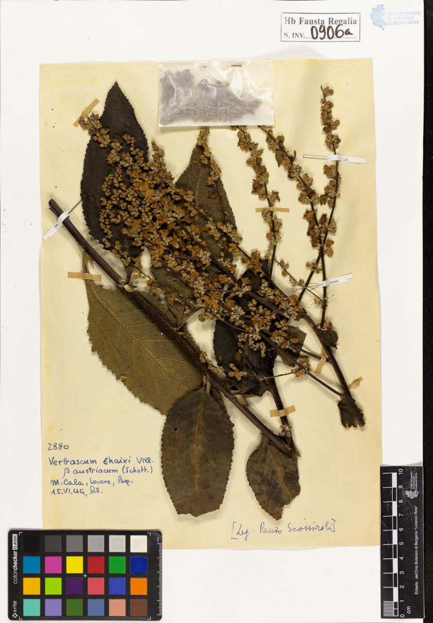 SW_BNB_s3020-00911_IMG-0000000001