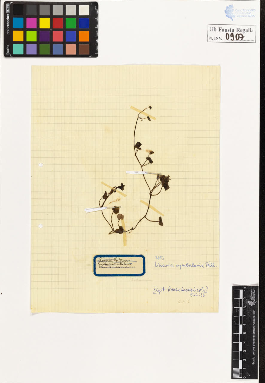 SW_BNB_s3020-00912_IMG-0000000001