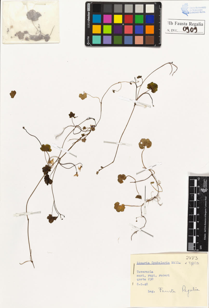 SW_BNB_s3020-00914_IMG-0000000001