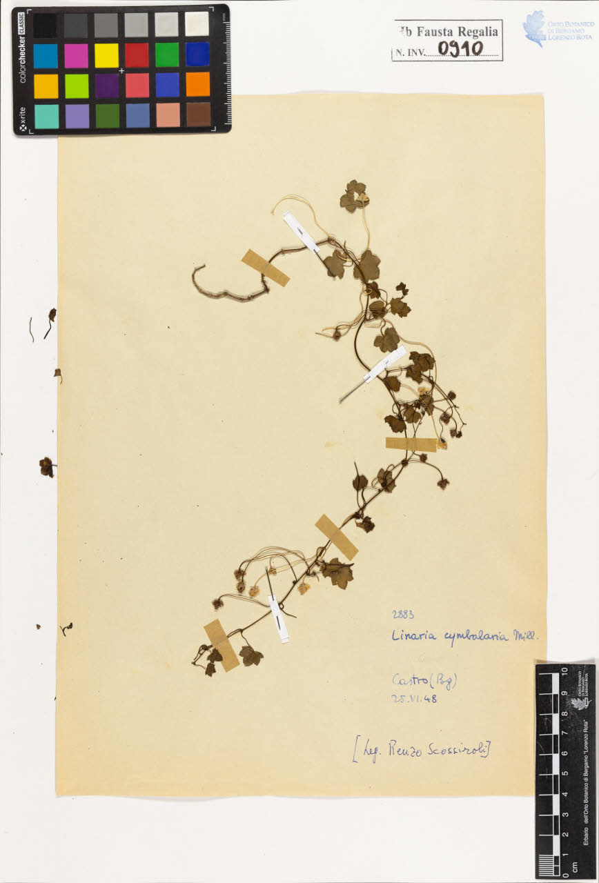 SW_BNB_s3020-00915_IMG-0000000001