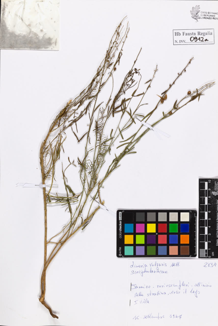 SW_BNB_s3020-00917_IMG-0000000001