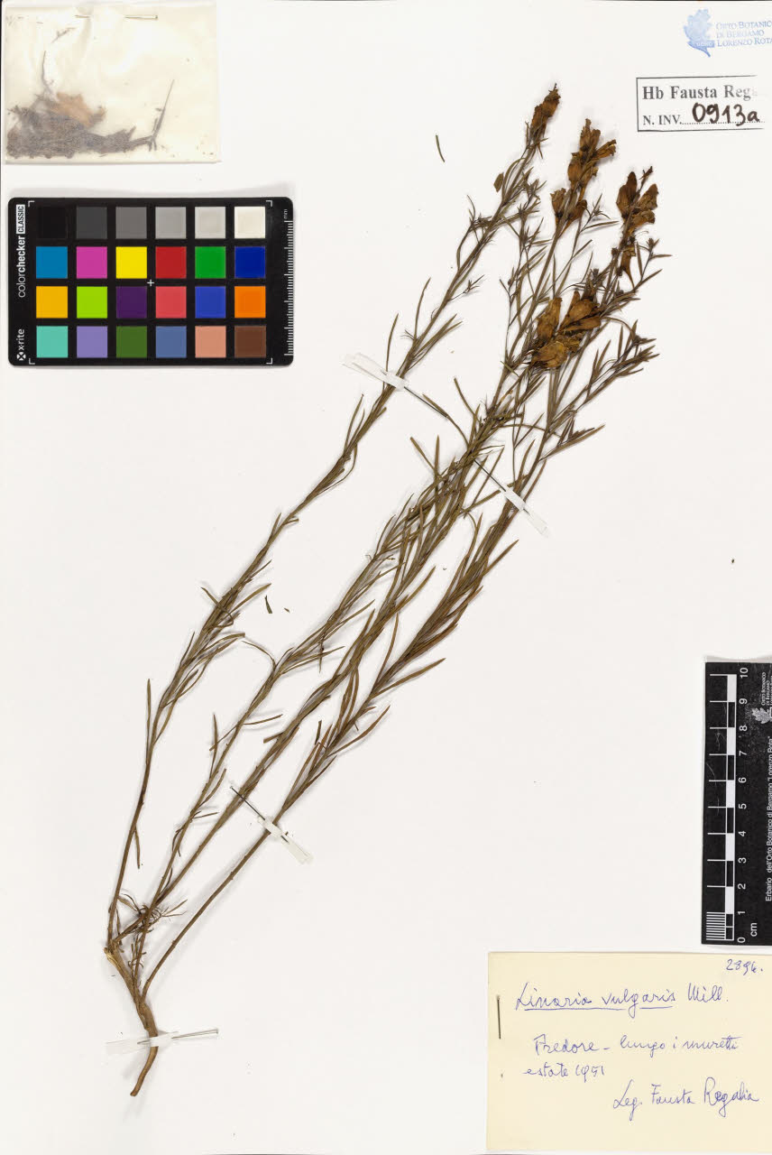 SW_BNB_s3020-00918_IMG-0000000001