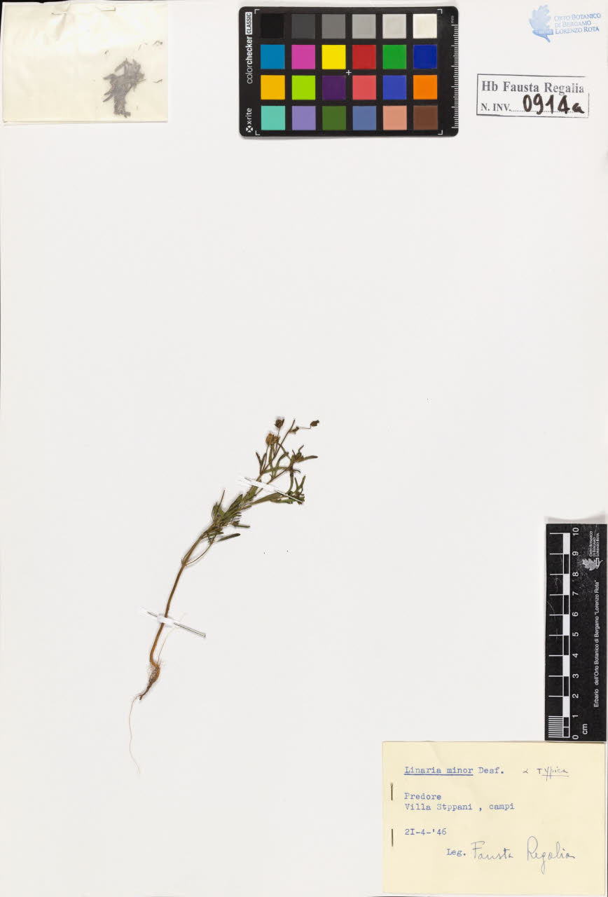 SW_BNB_s3020-00919_IMG-0000000001