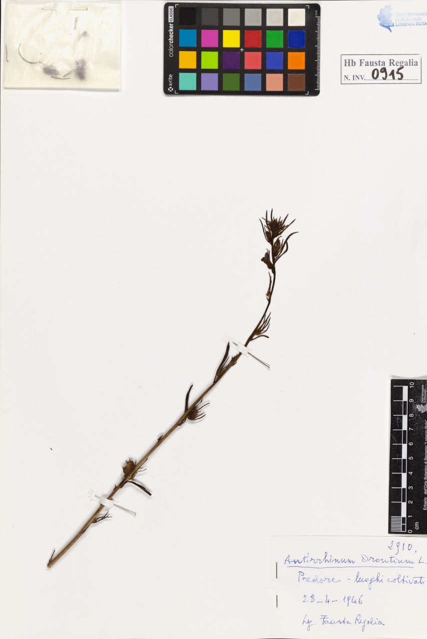 SW_BNB_s3020-00920_IMG-0000000001