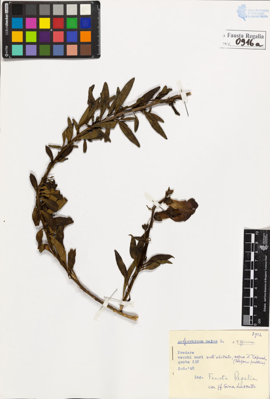 SW_BNB_s3020-00921_IMG-0000000001