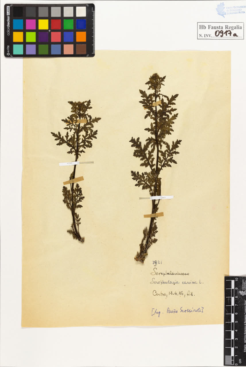 SW_BNB_s3020-00922_IMG-0000000001