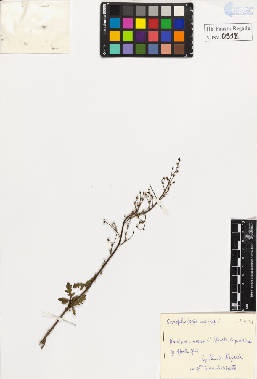 SW_BNB_s3020-00923_IMG-0000000001