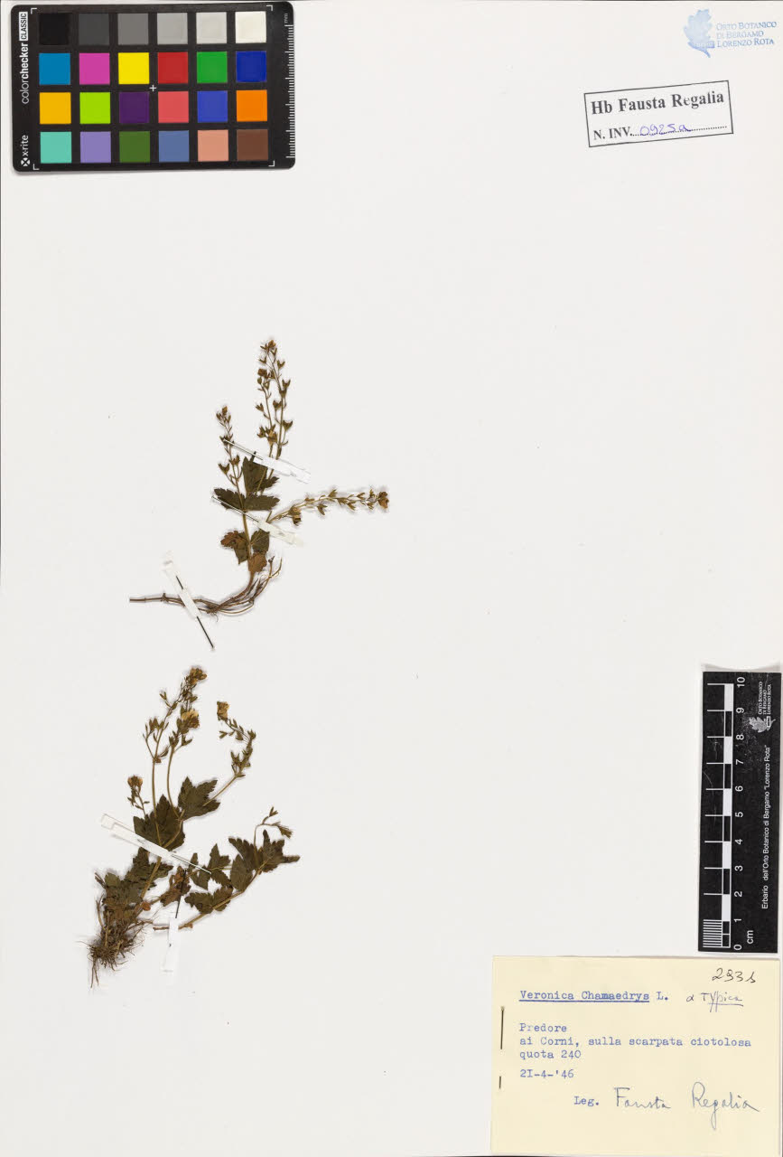SW_BNB_s3020-00930_IMG-0000000001