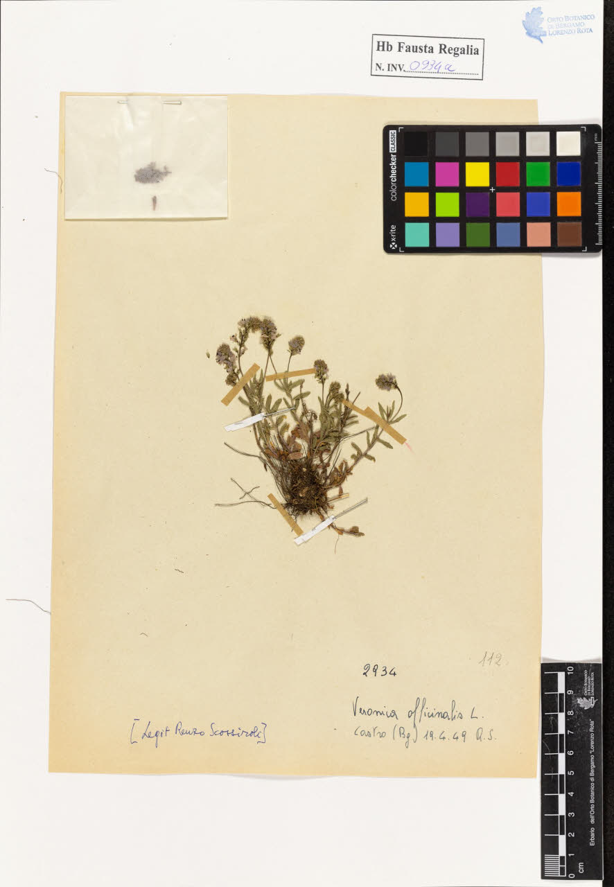 SW_BNB_s3020-00939_IMG-0000000001