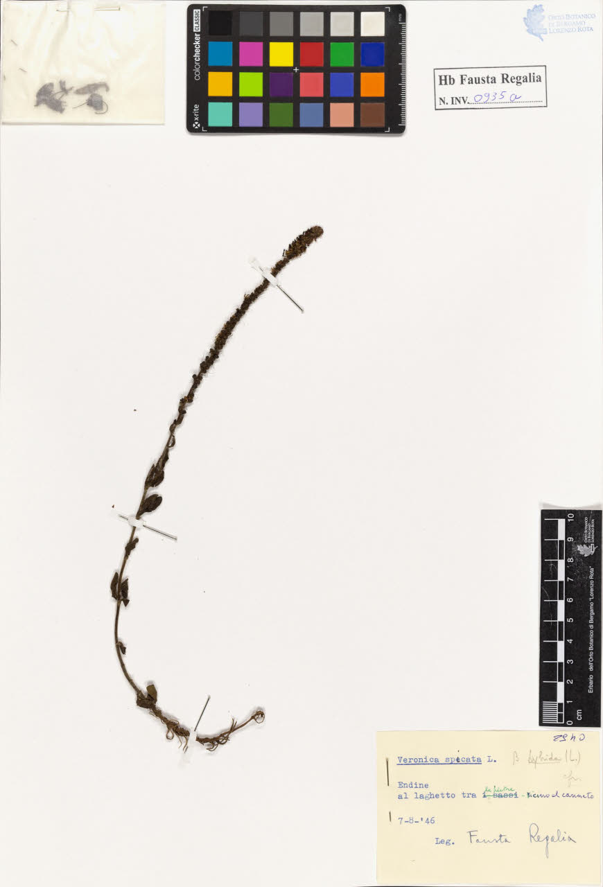 SW_BNB_s3020-00940_IMG-0000000001