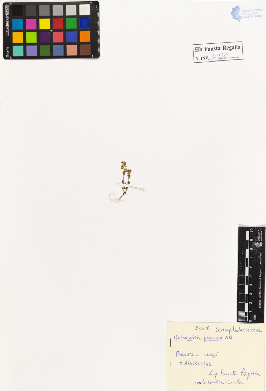 SW_BNB_s3020-00941_IMG-0000000001