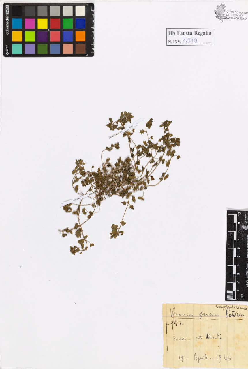 SW_BNB_s3020-00944_IMG-0000000001