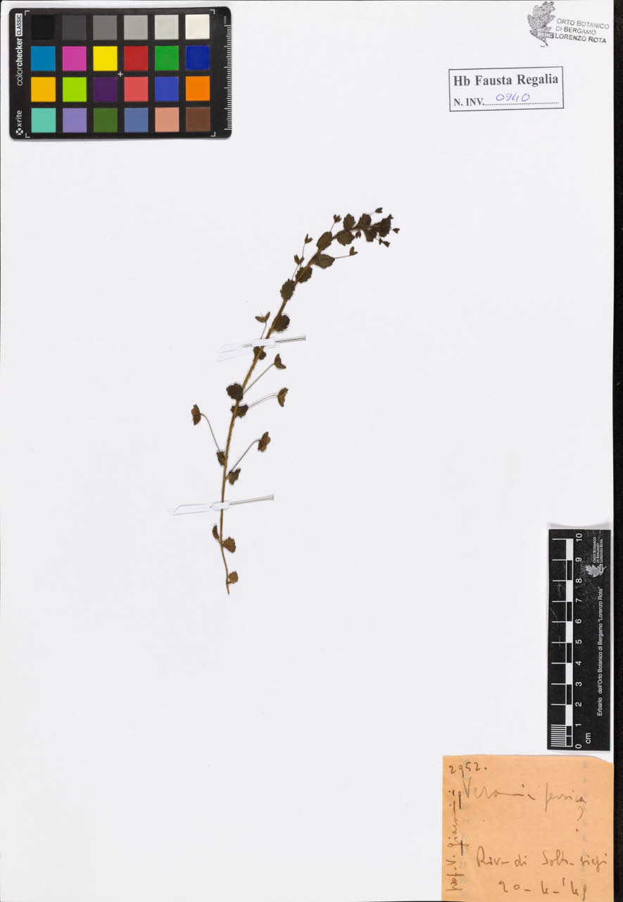 SW_BNB_s3020-00945_IMG-0000000001