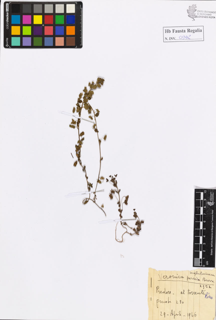 SW_BNB_s3020-00947_IMG-0000000001