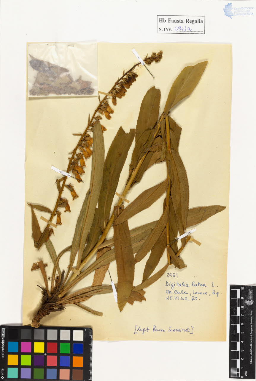 SW_BNB_s3020-00948_IMG-0000000001