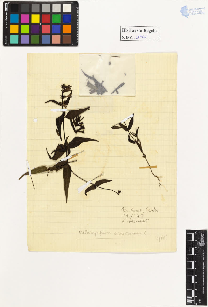 SW_BNB_s3020-00949_IMG-0000000001