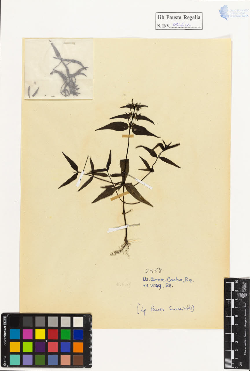 SW_BNB_s3020-00951_IMG-0000000001