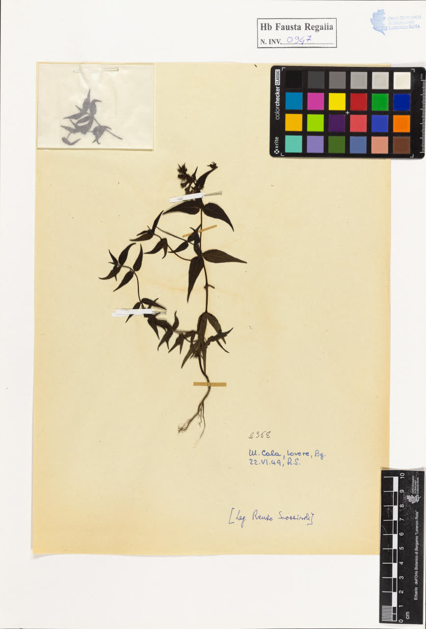 SW_BNB_s3020-00952_IMG-0000000001