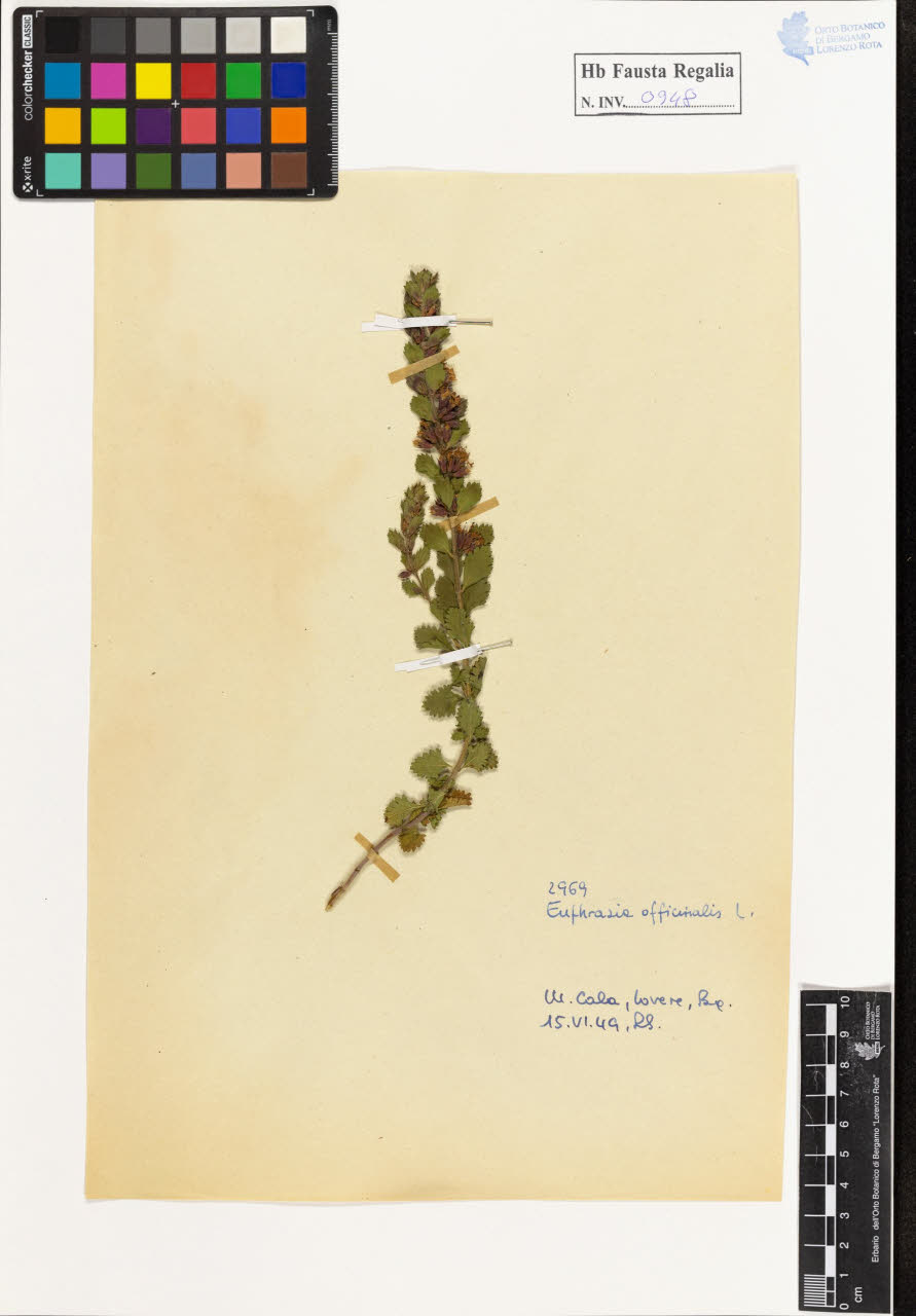 SW_BNB_s3020-00953_IMG-0000000001