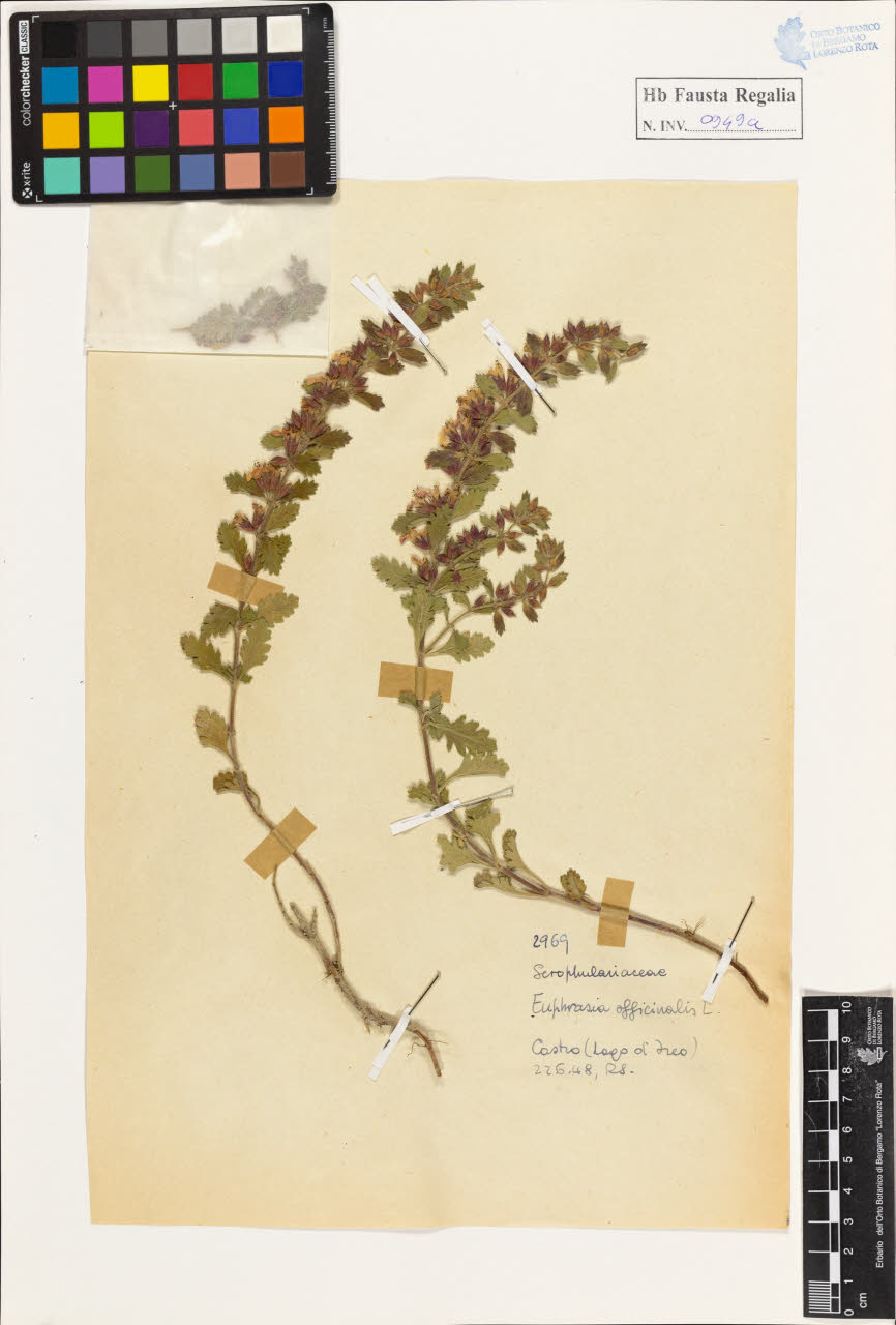 SW_BNB_s3020-00954_IMG-0000000001