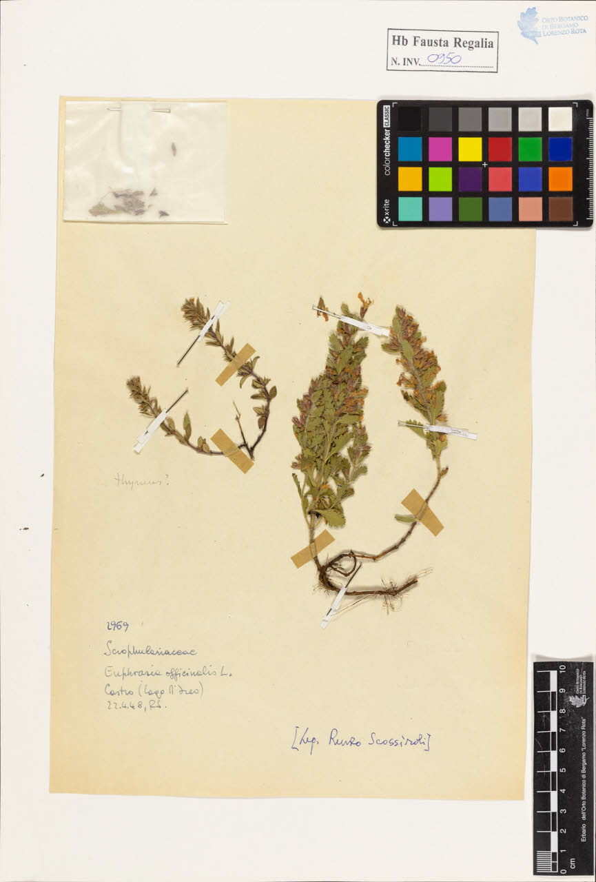 SW_BNB_s3020-00955_IMG-0000000001