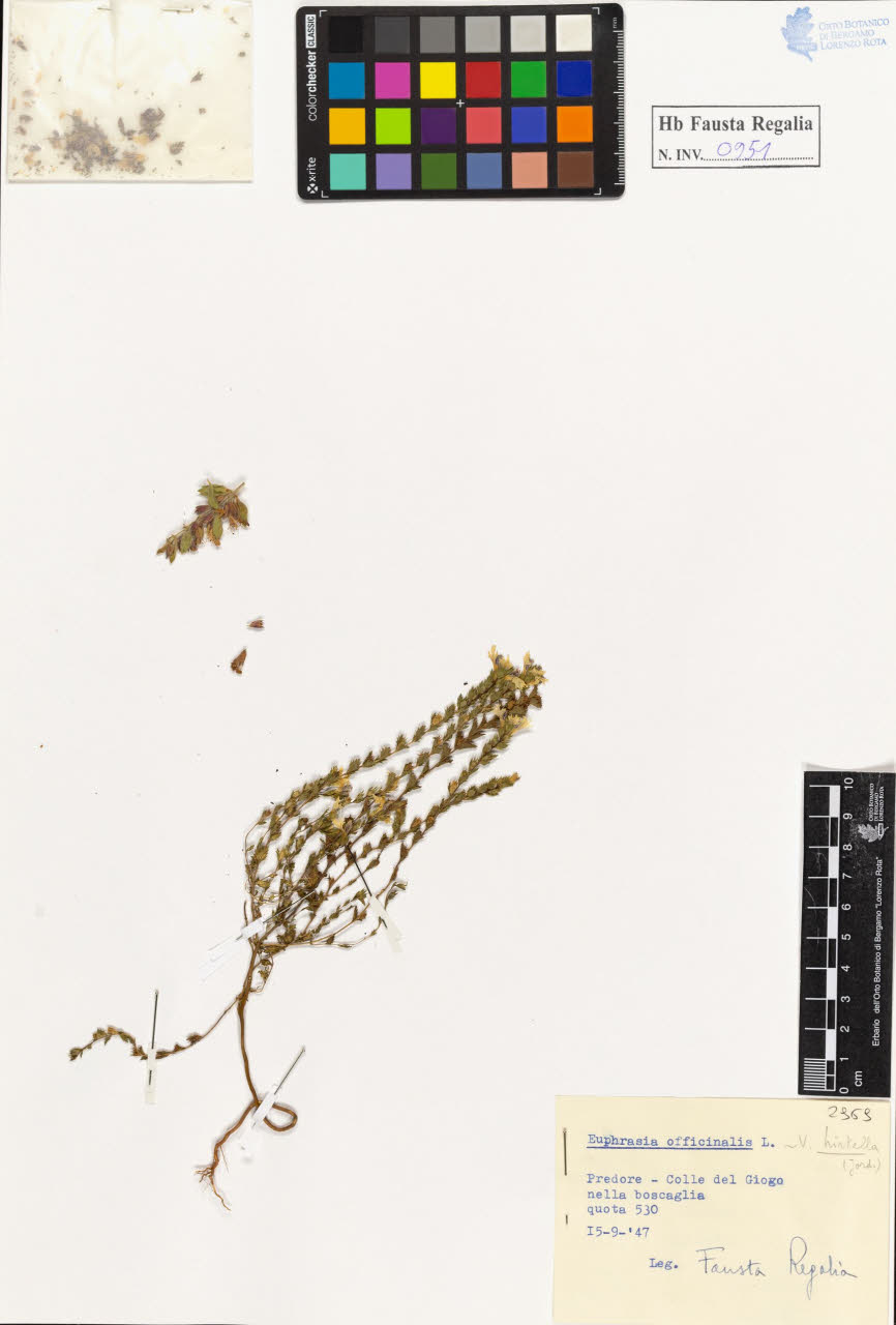 SW_BNB_s3020-00956_IMG-0000000001