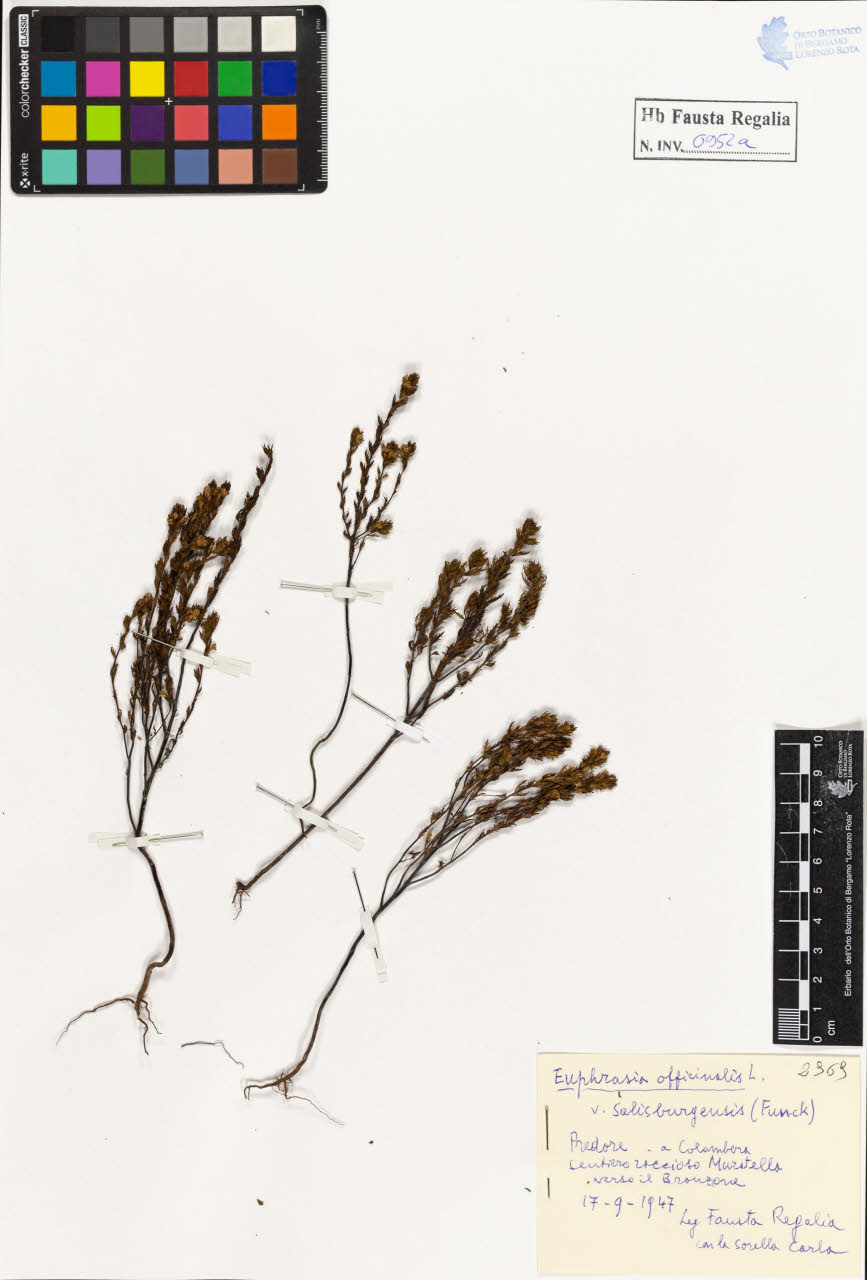 SW_BNB_s3020-00957_IMG-0000000001