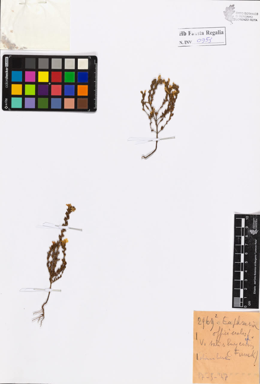 SW_BNB_s3020-00958_IMG-0000000001