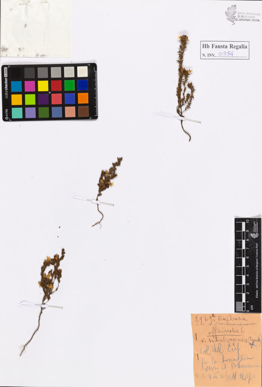 SW_BNB_s3020-00959_IMG-0000000001