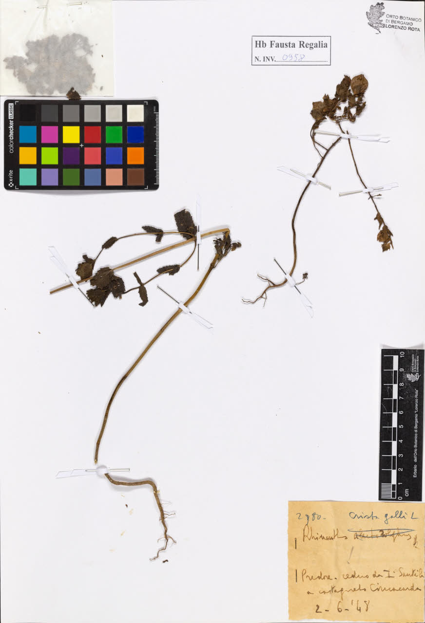 SW_BNB_s3020-00963_IMG-0000000001