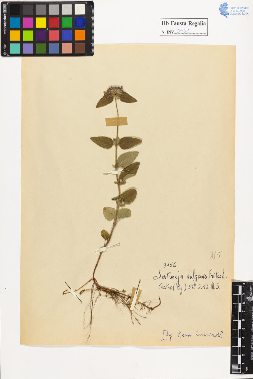 SW_BNB_s3020-00966_IMG-0000000001