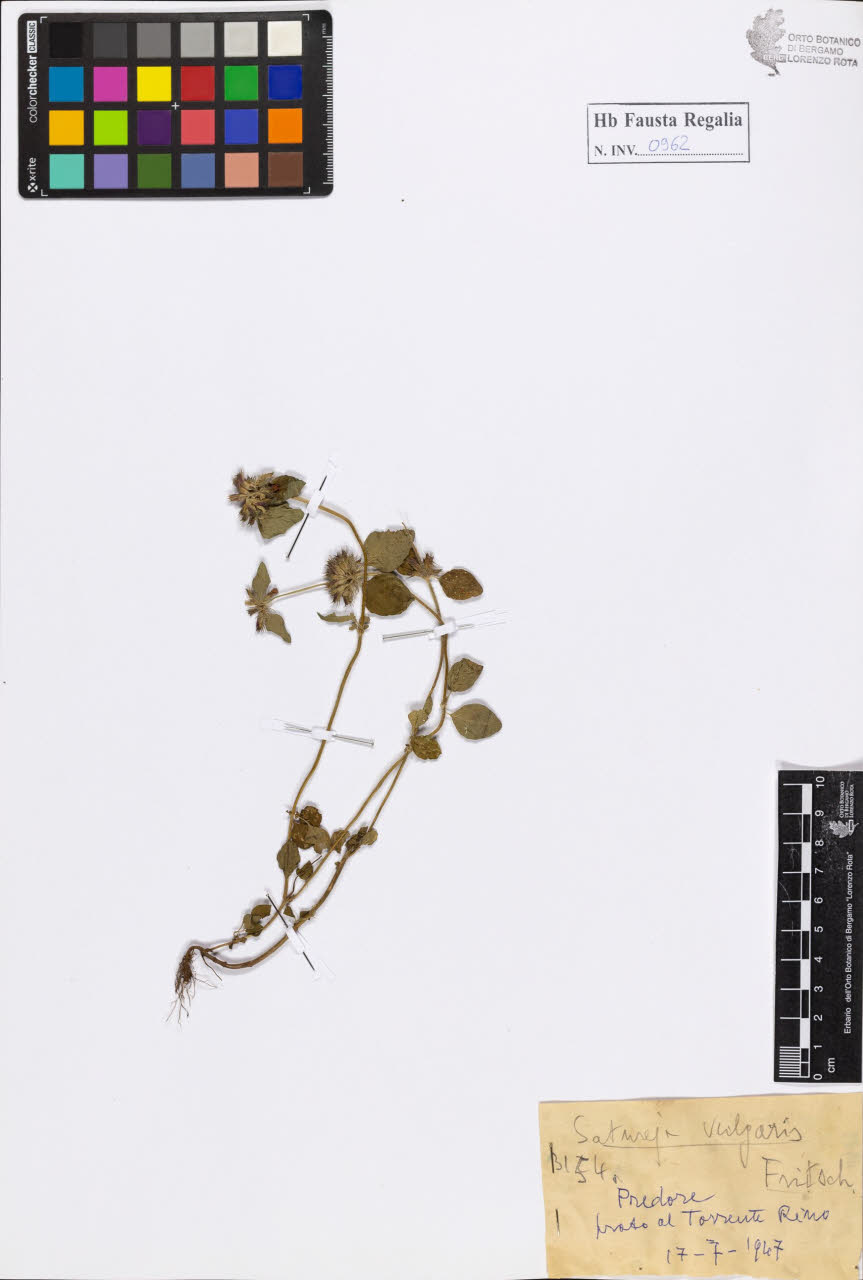 SW_BNB_s3020-00967_IMG-0000000001