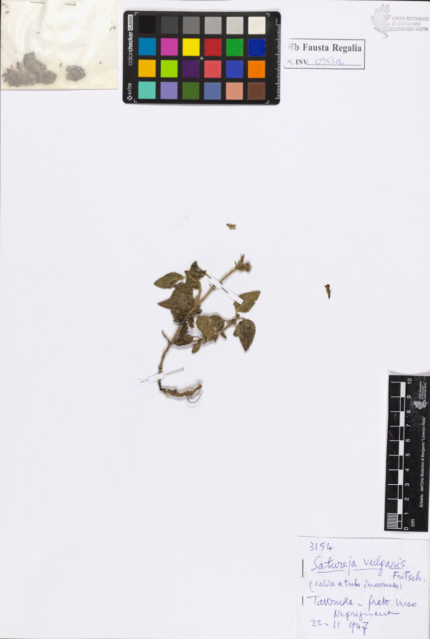 SW_BNB_s3020-00968_IMG-0000000001