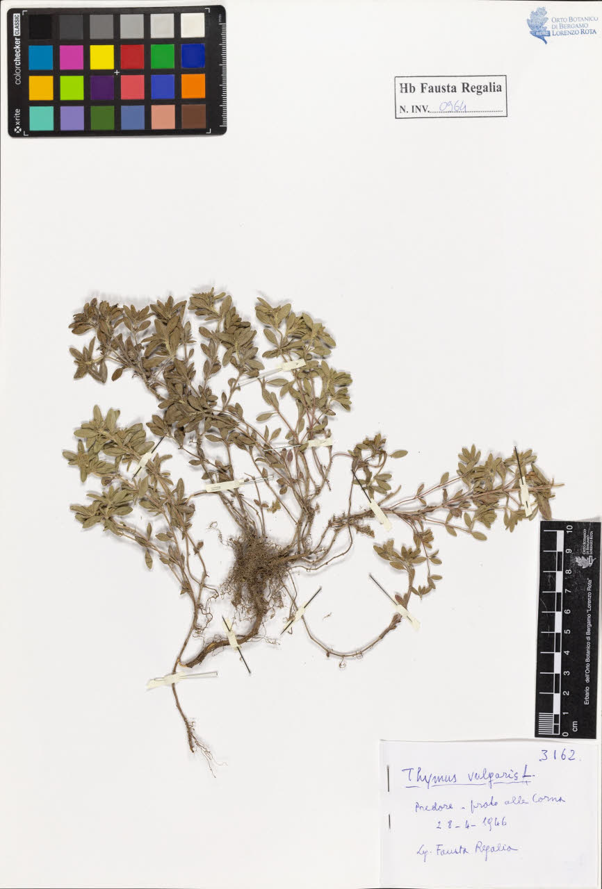 SW_BNB_s3020-00969_IMG-0000000001