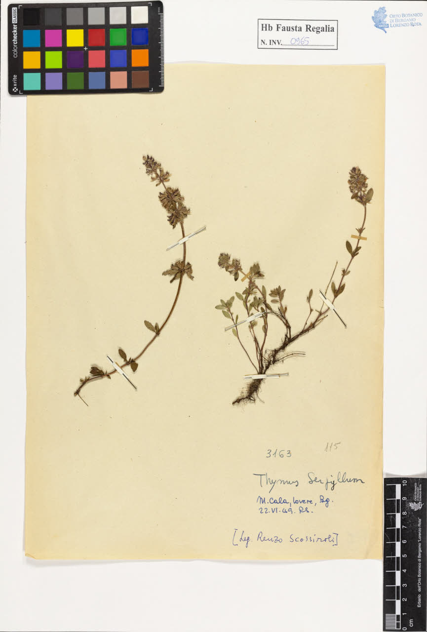 SW_BNB_s3020-00970_IMG-0000000001