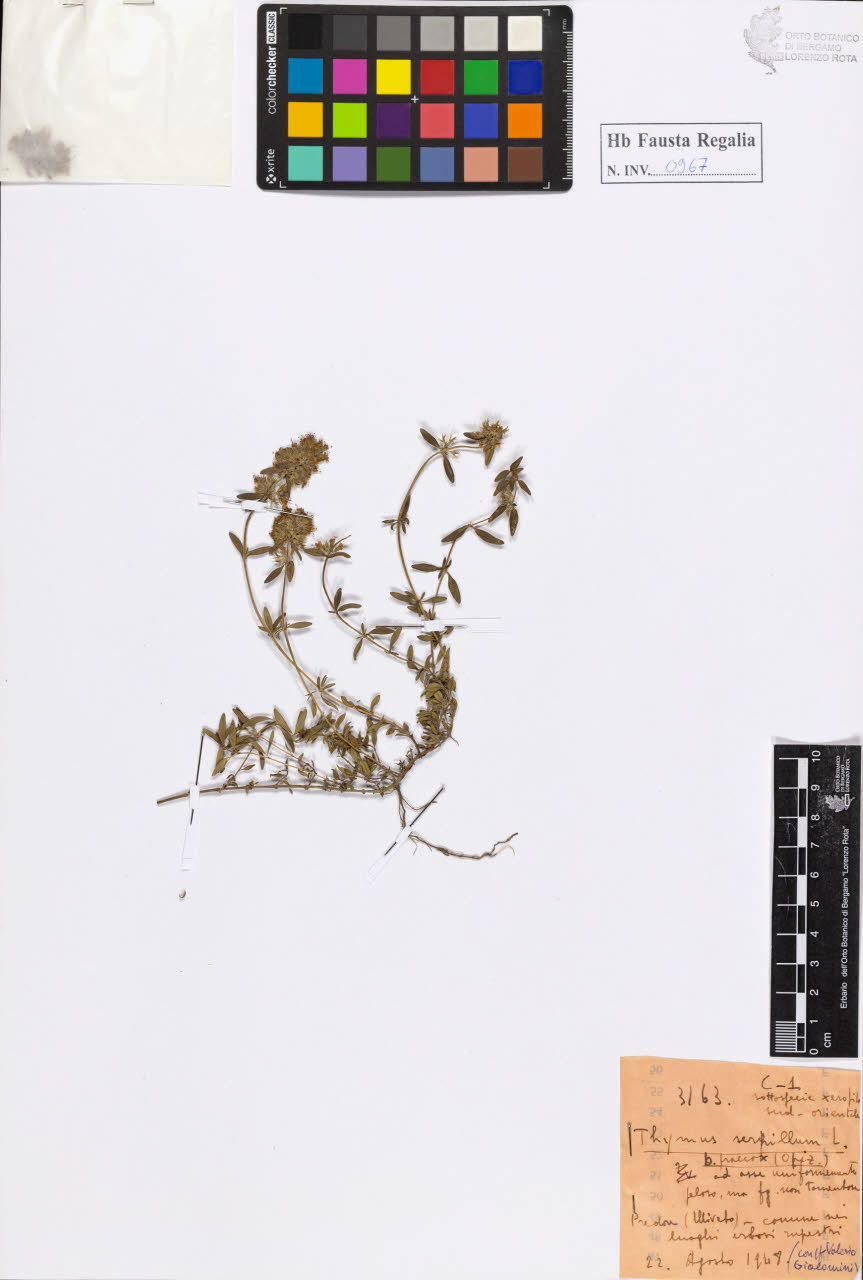 SW_BNB_s3020-00972_IMG-0000000001