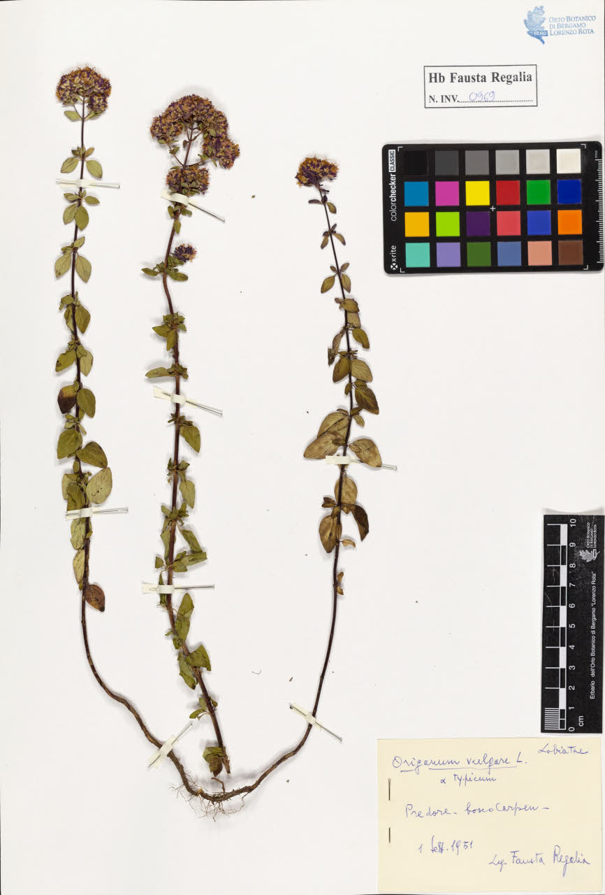 SW_BNB_s3020-00974_IMG-0000000001