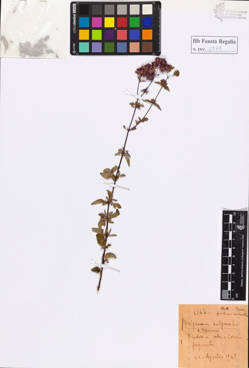 SW_BNB_s3020-00976_IMG-0000000001