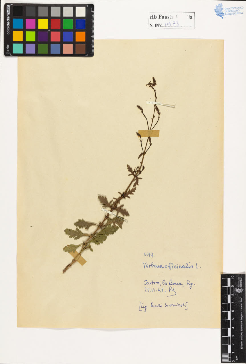 SW_BNB_s3020-00978_IMG-0000000001