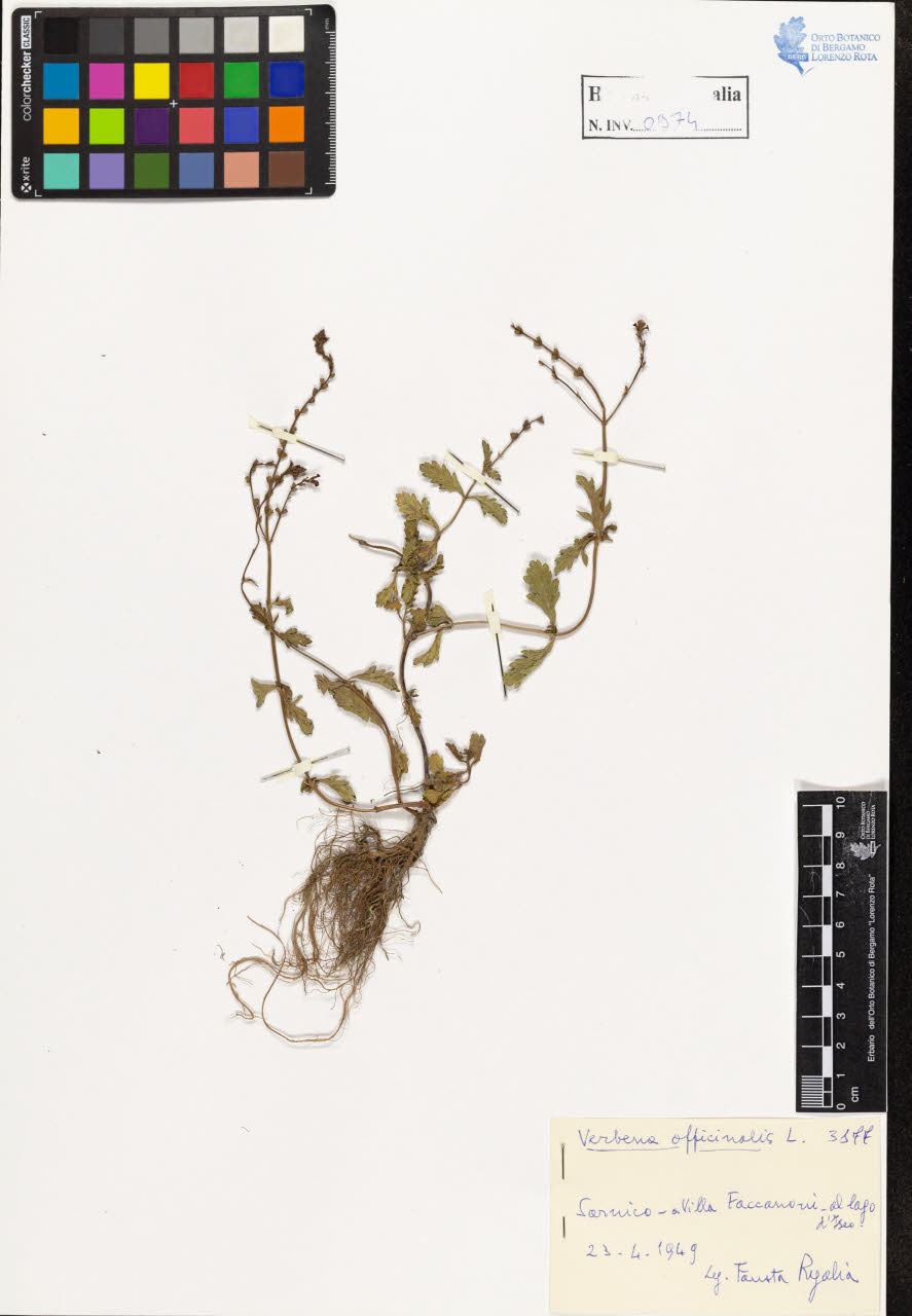 SW_BNB_s3020-00979_IMG-0000000001