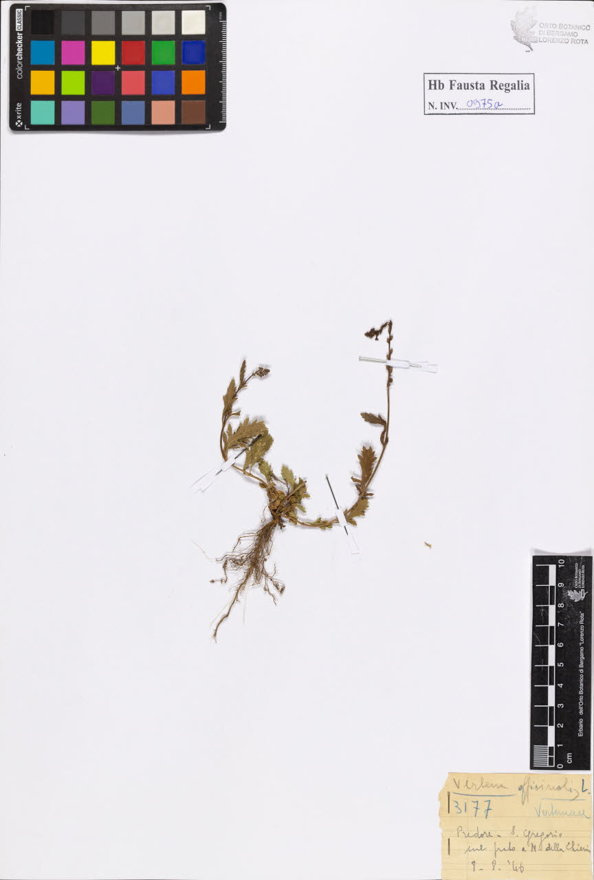 SW_BNB_s3020-00980_IMG-0000000001