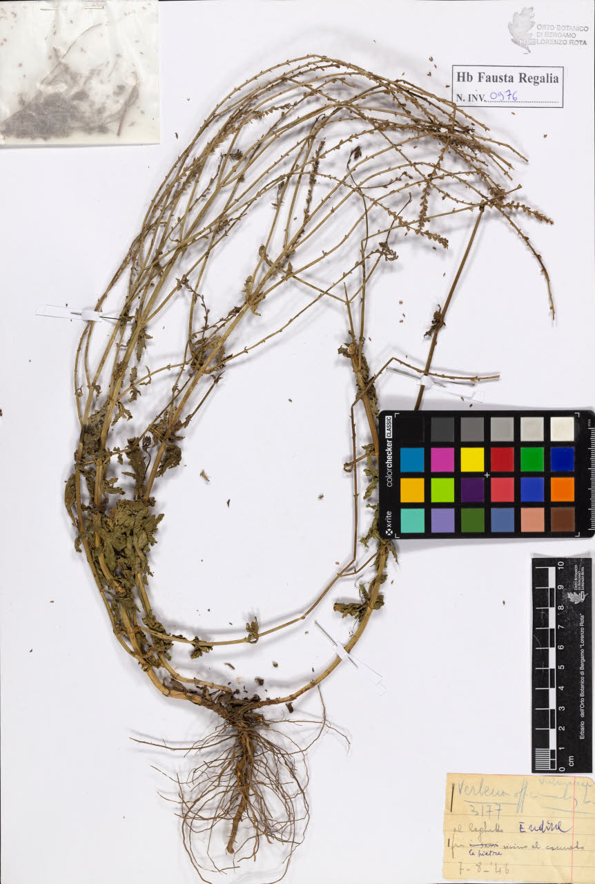 SW_BNB_s3020-00981_IMG-0000000001