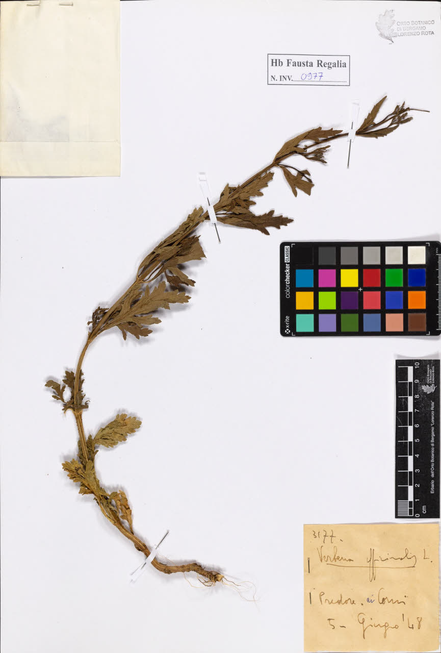 SW_BNB_s3020-00982_IMG-0000000001