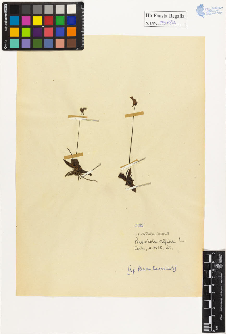 SW_BNB_s3020-00983_IMG-0000000001