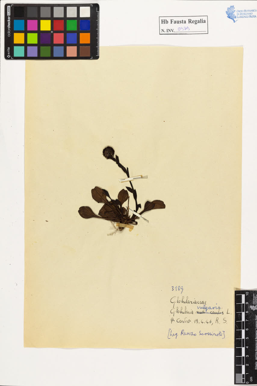 SW_BNB_s3020-00984_IMG-0000000001