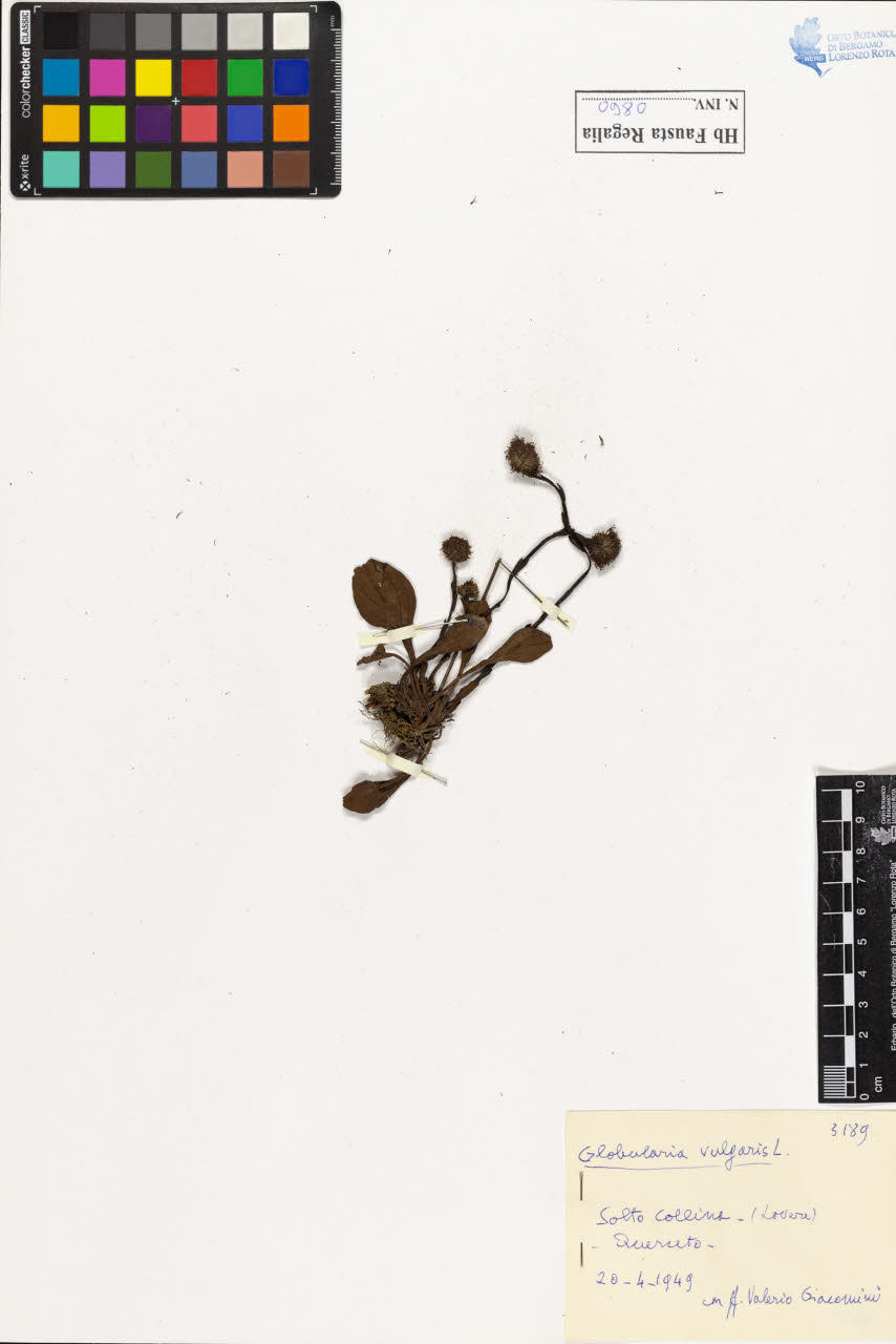 SW_BNB_s3020-00985_IMG-0000000001