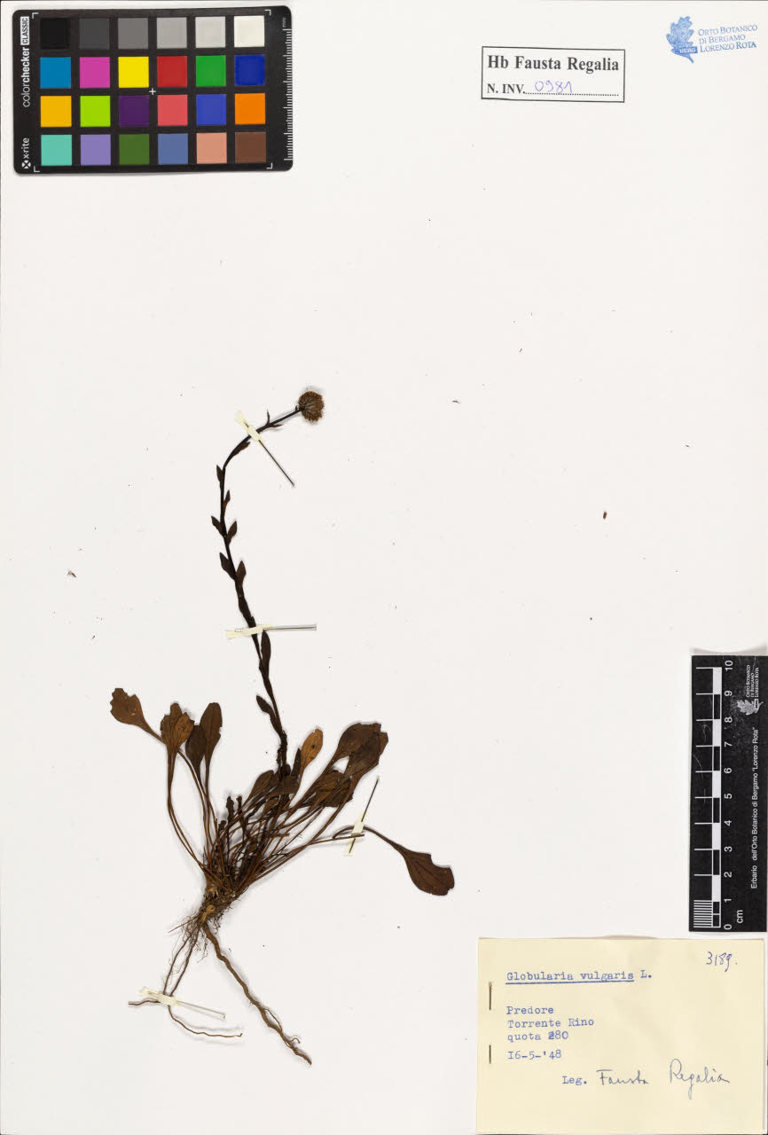 SW_BNB_s3020-00986_IMG-0000000001