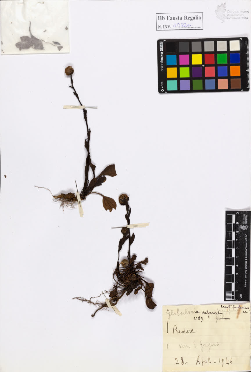 SW_BNB_s3020-00987_IMG-0000000001