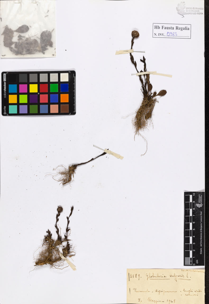 SW_BNB_s3020-00988_IMG-0000000001